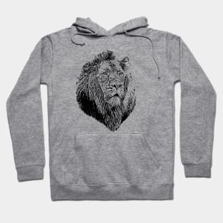 Lion portrait Hoodie